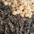 진주펜션 이미지