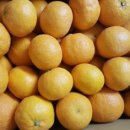 지영이네농장 이미지