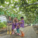 도윤농장 이미지