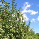 청송아파트경로당 이미지