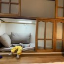 이달엔영월스테이 이미지