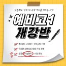 메타플러스