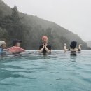 포레스트리솜 이미지