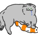 올레수산회센터