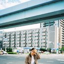 댕댕이 머리하는 날 이미지