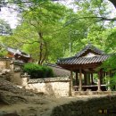 곡성 이미지