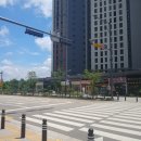 보또리똥 이미지