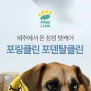 협동클린 | 헌혈견 선물 ‘포링클린’ 후기