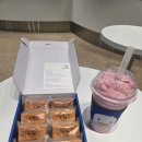 달콤한 민들레의 속 | [부산역] 부산여행 필수 기념품으로 딱 좋은 ‘갈매기샌드 부산본점’ 솔직 후기!