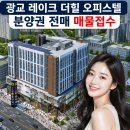 삼성힐(단지내)공인중개사사무소 | 흥덕지구 광교 레이크더힐 오피스텔 미래가치를 품은 이유