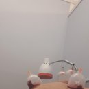 향동숲한의원 이미지