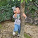 꿈그린어린이집 | 관평동 어린이집 추천 / 테크노1단지 꿈에그린어린이집