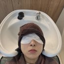풀로진 이미지