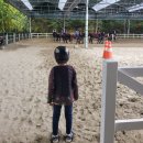 건영승마장 이미지