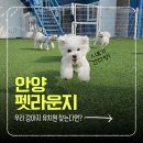 안양유치원 이미지