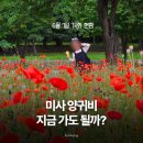 엘리스강 | 하남 미사경정공원 양귀비 개화 현황, 5살 딸과 다녀온 후기