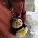 뽀독뽀독 이미지