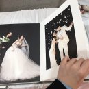 [결혼준비] 웨딩사진 찍기 스튜디오 고르는 팁