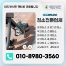 영토탈 이미지