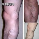 아나파적맥통증의원 이미지