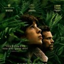 영화 애니멀 킹덤 (The Animal Kingdom, 2025): 정보 및 후기, 딱 프랑스 영화라는 느낌