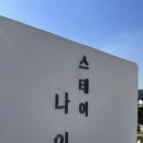 스테이나인