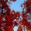 정관 어린이도서관(윗골공원) 이미지