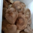 표고버섯 찜 이미지