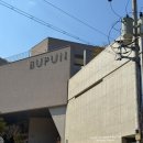 빵선수 베이커리 카페 | 가창 부푼카페 BUPUN. 빵이 맛있는 신상 베이커리 카페 솔직후기