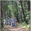 2013년, 회주큰스님 千日 무문관 결제날 풍경 (4) - 점심공양 후, 숲길걷기 이미지