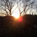 탑산농장 Daum카페