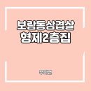 형제2층집