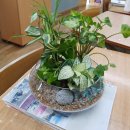 송현여자중학교 이미지