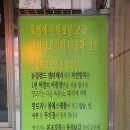 은평양꼬치 네이버블로그