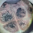 수원-0286 이미지