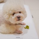 군파크호텔 이미지