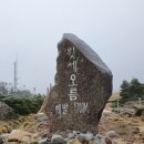 한라산백록담/윗세오름 철쭉산행[2024.5.25~26][195회] 이미지