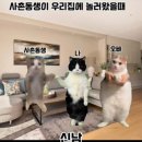 오토축산 티스토리