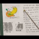 위의 염산에 쩌든 죽이 십이지장으로 내려오면 쓸개즙과 췌장액이 알칼리로 바꾼다. 이미지