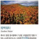 부산카크리닉 이미지