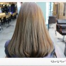 토리헤어(주안점) 이미지