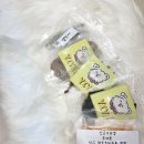 #아름답개 이미지