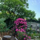 대둔산순두부집