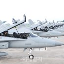 날아라 금독수리!T-50골든이글