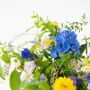 어스디자인스튜디오 이미지