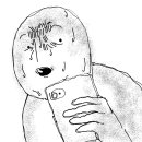 메리베어