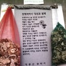 사랑마실 이미지