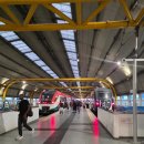 우리DC백화점 | 로마, 시칠리아부터 시작한 이탈리아 여행의 마지막 기록