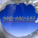 1994-05-01 비피더스요구르트 이미지