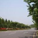 금락1리 이미지